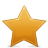 star icon1