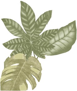 Carta da parati foglie verdi carta da parati con foglie tropicali carta da parati tropicale carta da parati con foglie