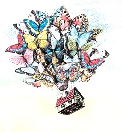 carta da parati allegra colorata farfalle bimbi
