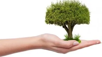 bonus verde 2019 proroga bonus verde 2019 proroga