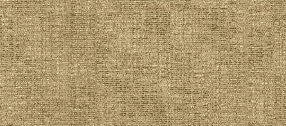 100E-TEND 738 | Carta parati paglia intrecciata