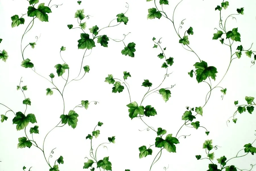 BLO52903 | Carta da parati edera verde stile country - Nanni Giancarlo