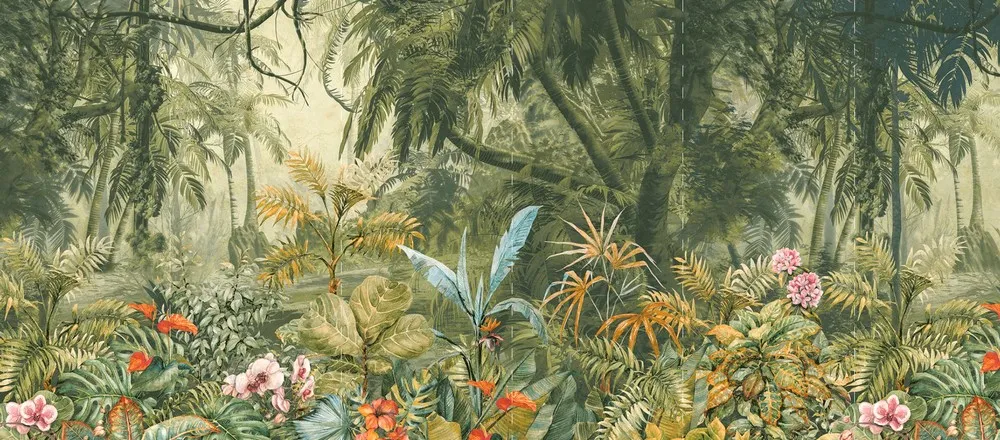FAQ CARTA DA PARATI:  Domande e risposte
