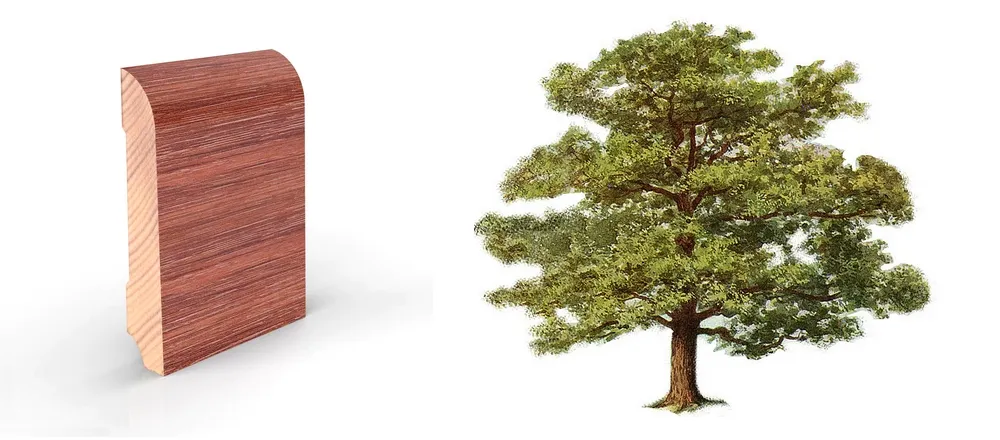 Vendita battiscopa in legno Vendita battiscopa in legno anche online prezzo prezzi a metro