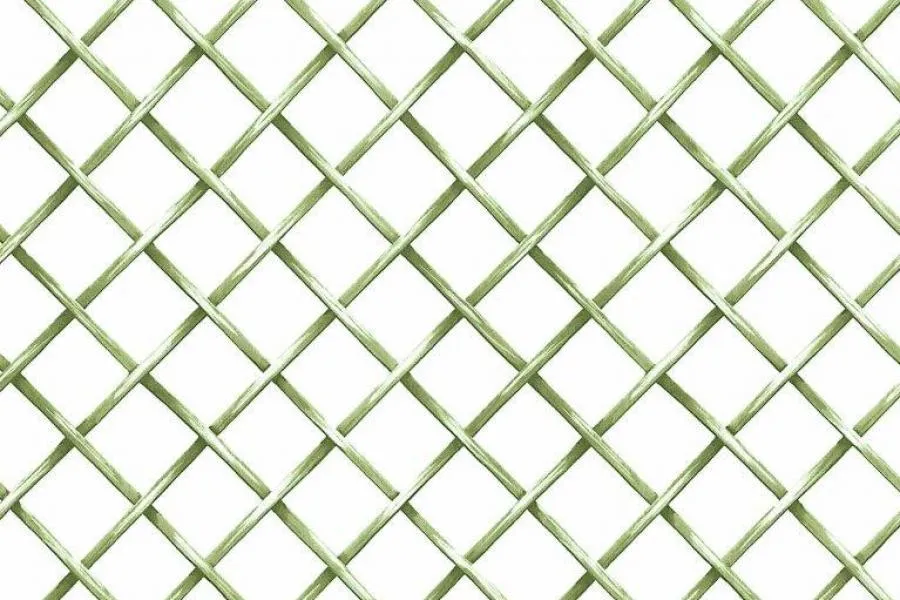 BLO52403 | Carta da parati griglia verde da giardino - coordinato edera - Nanni Giancarlo BLO52403 | Carta da parati griglia verde da giardino - coordinato edera - Nanni Giancarlo