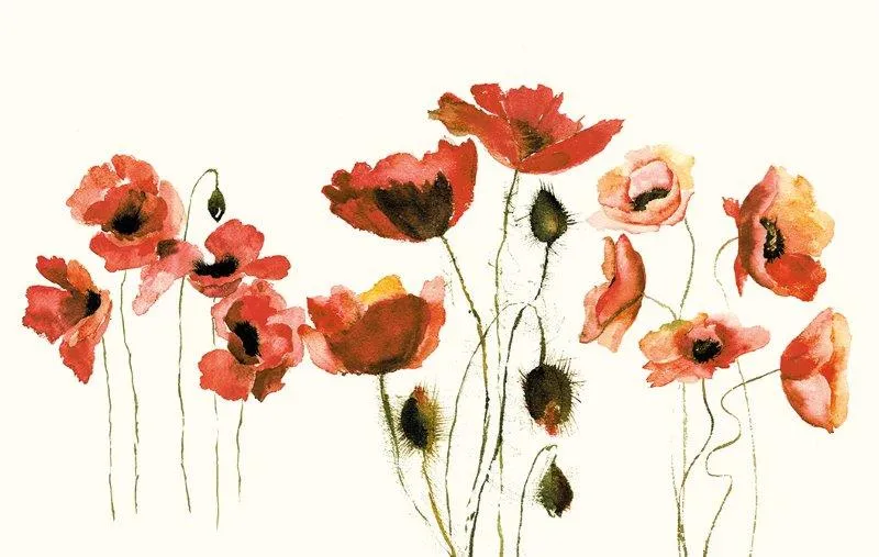 Carta da parati con papaveri Carta da parati papaveri Carta da parati con fiori di papavero