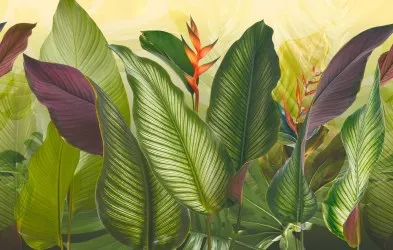 PARADISO CALATHEA | Carta da parati - Colore 10