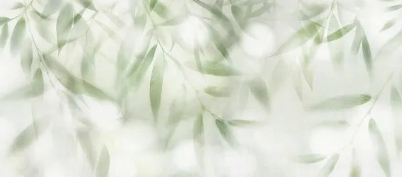 GIN2203ALB | Carta da parati foglie delicata e sognante