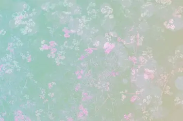 CONCETTO NATURA | Carta da parati a fiori colori sfumati - Col. 958
