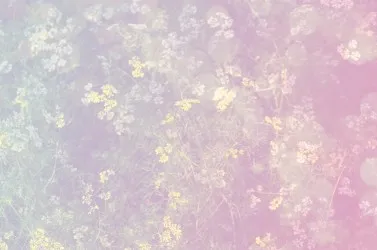 CONCETTO NATURA | Carta da parati a fiori colori sfumati - Col. 959