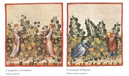 YOURWALL | Carta da parati personalizzata con immagine del Cliente