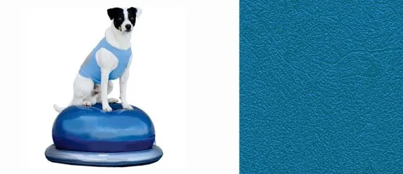 PAVINIL ACTIVITY GF5 Dog - Per spazi interni allenamento cani