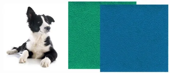 PAVINIL ACTIVITY GF5 Dog - Per spazi interni allenamento cani