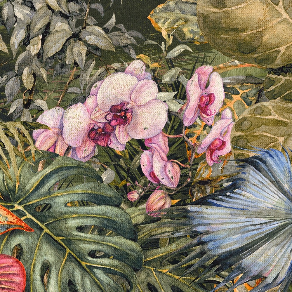 carta da parati tropicale con orchidee - Nanni Giancarlo carta da parati tropicale con orchidee - Nanni Giancarlo