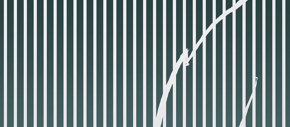 LINE FEATHER | Carta da parati a righe con piuma