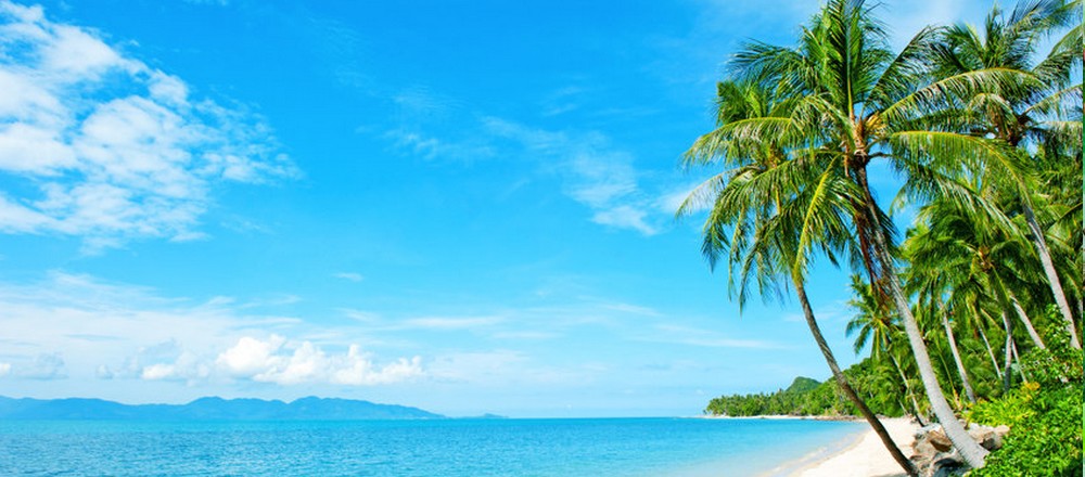 SPIAGGIA TROPICALE | Carta da parati mare caraibico - Nanni Giancarlo