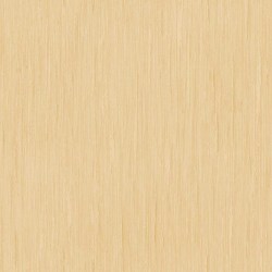 GOLD | Carta parati oro effetto fil posé (coodinabile) - Cod 257-93