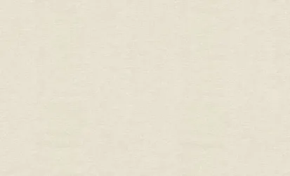 100E-ARM | Carta parati tinta unita vinilica ignifuga  Cod.74051