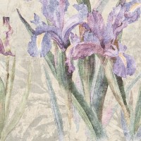 FLEURS IRIS | Carta da parati floreale design - Colore 270
