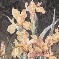 FLEURS IRIS | Carta da parati floreale design - Colore 271