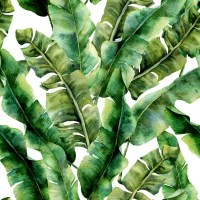 VERDE ESOTICO | Carta da parati foglie tropicali di banano