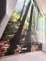 ALBEGGIA 359 | Carta da parati con alberi - Ambiente h. 7 metri