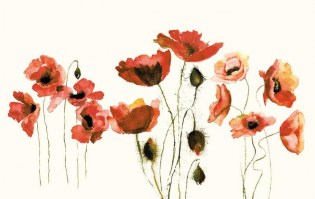 COQUELICOTS | Carta da parati con fiori grandi di papavero - Colore 0