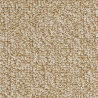 MOQUETTE C.DECO | Colore N648 