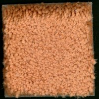 MOQUETTE RDOL |  Moquette alta 15 mm. - Col. 9801