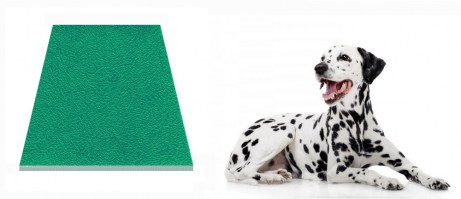 PAVINIL ACTIVITY GF5 Dog - Per spazi interni allenamento cani